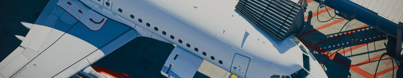 line-banner-1